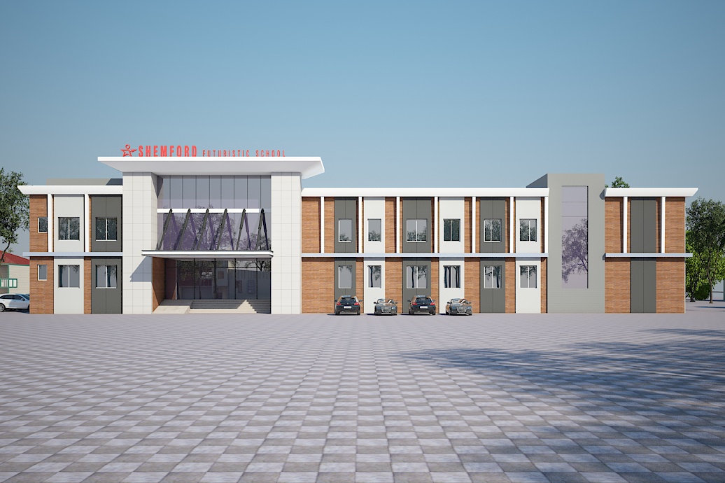 Dr. Y K Singh School at Nanpara